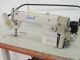 used JUKI DDL-5550N-7 - Sewing