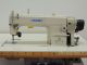 used JUKI DDL-5550-N7 - Sewing