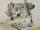 used PEGASUS W-664-80-CB - Sewing