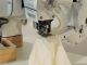 used JUKI MF-3620 - Sewing