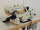 used TREASURE MB 883 SUB  - Home