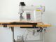 JUKI DP-2100  usata Macchine che cerchiamo