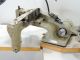 UNION SPECIAL-36200-PAZ69  usata Macchine da cucire